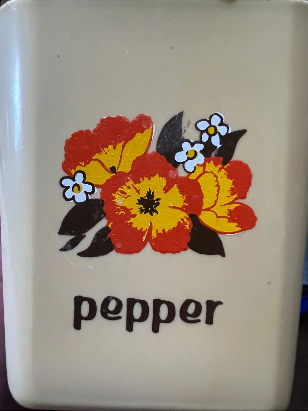 Vintage Large Plastic Salt and Pepper Shakers 60s